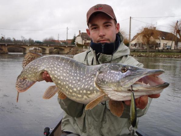 01_2008__pike_87_cm_LoRes.JPG
