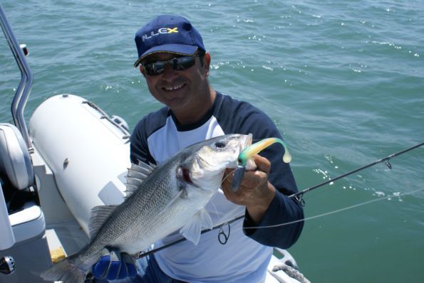 Montage Nitro soft Jerk