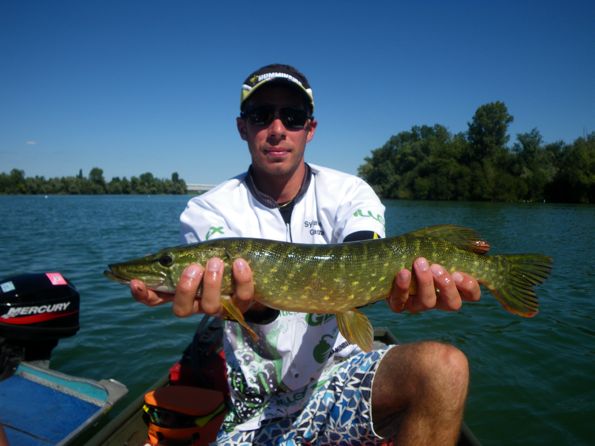 brochet_4.jpg