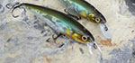 Illex Squad Minnow HW -  eine ...