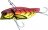 RG Red Craw
