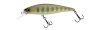 Squad Minnow 65 Truitelle