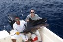 Sail fish du Costa Rica