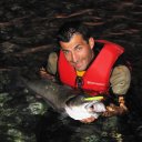 BONNIE 95 FP Clear Lémon....