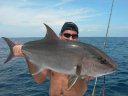 Amberjack au jig 