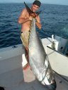 Encore du lourd!! 277 Lbs de thon jaune...ça pulse méchant!!