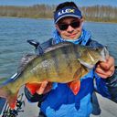 Zébrée au NSJB 112